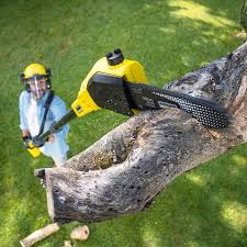 Best Lawn Pest Prevention  in Newark, CA